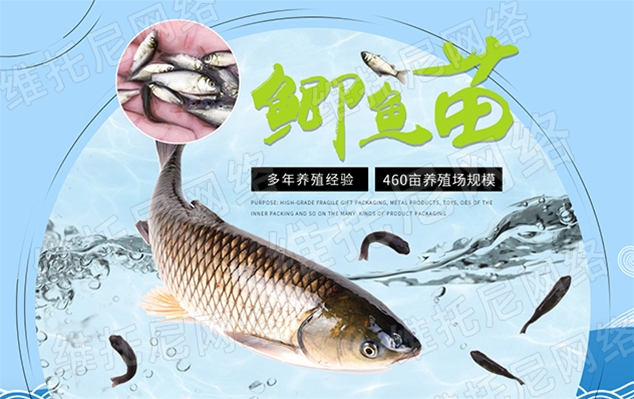 東莞市沙田鴻運魚苗養(yǎng)殖場